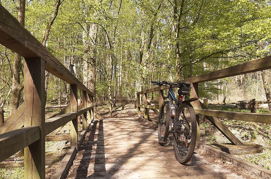 Jeden z kultowych mostków - Wielkopolski Park Narodowy