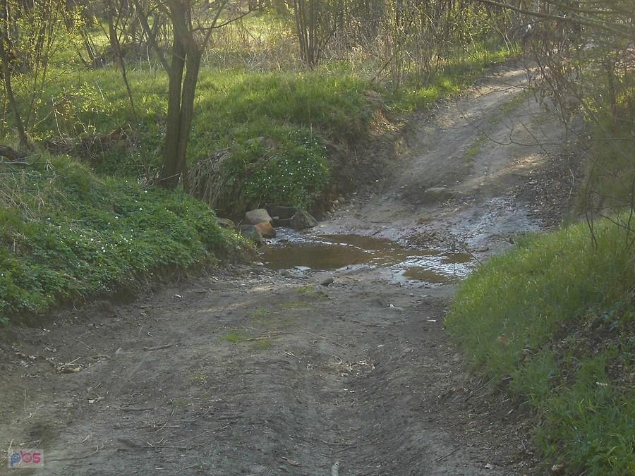 Sentymentalny bród na leśnej rzecce