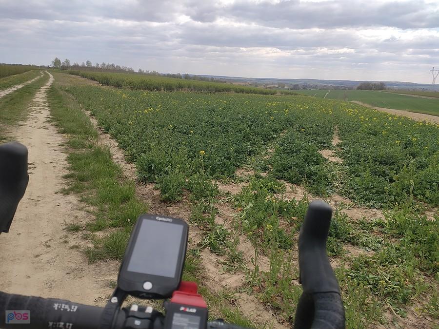 Widok na Krzczonów i okolice