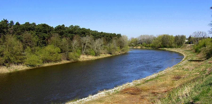 Wielkopolski Park Narodowy z jednej, rzeźnicza działalność Nadleśnictwa Babki po drugiej