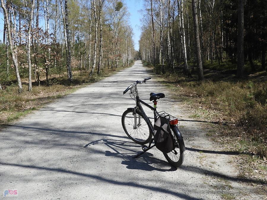 Droga pożarowa nr 27 w kierunku Turznicy.