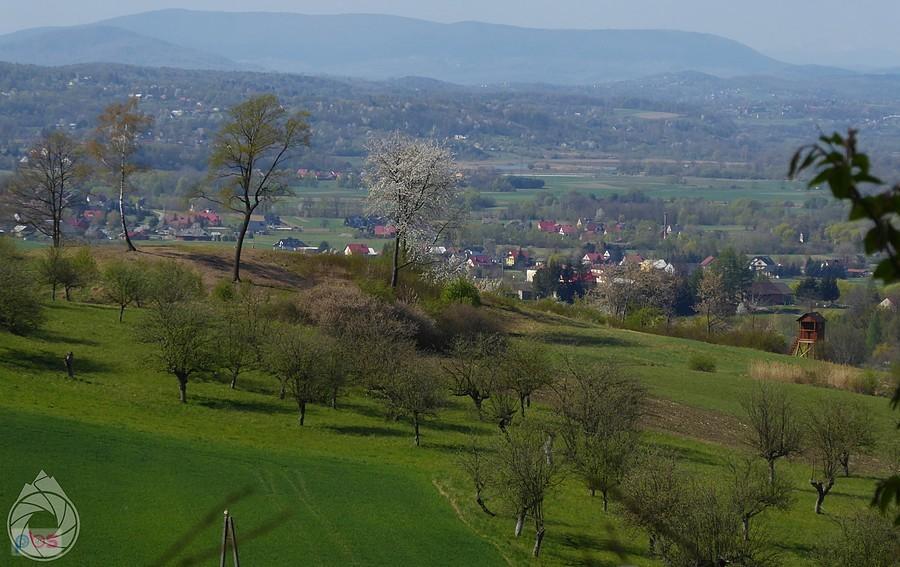 Pogórze Dobczyckie znad Kłaju