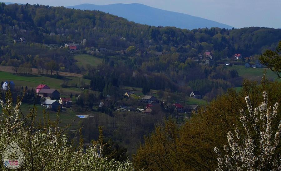 wiosna idzie w Beskid Wyspowy