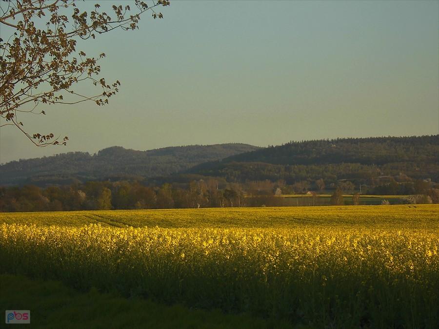 Górzec - wulkan nad Męcinką przywołuje mnie intensywnie ostatnio....