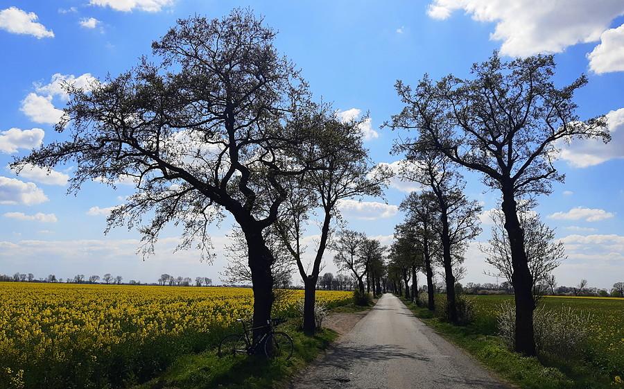 O takie barwy na trasach walczylim!