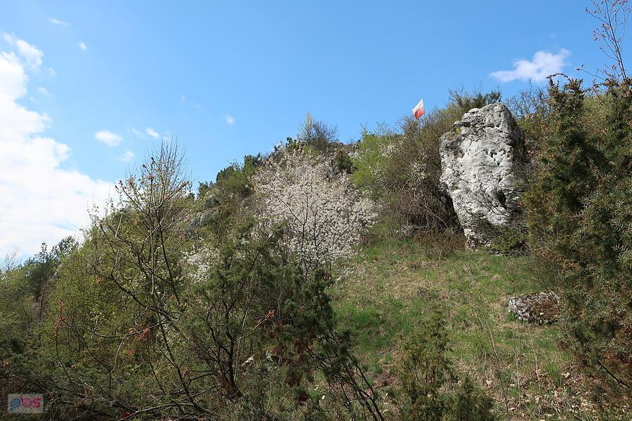 Flaga na skałach w Przewodziszowicach