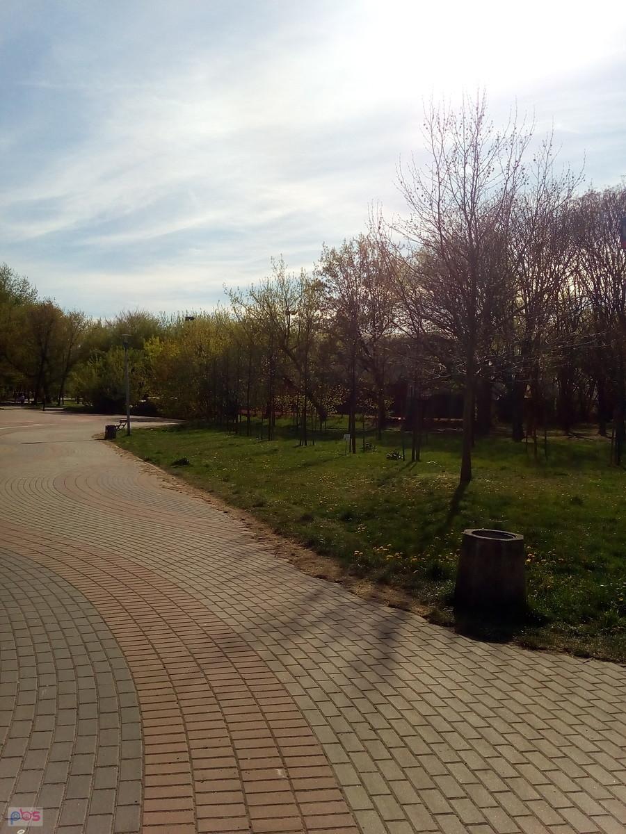 Wjazd do parku Szymańskiego