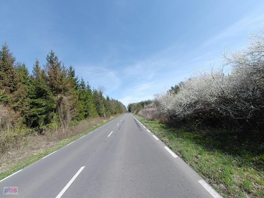 Wstęgą szos...