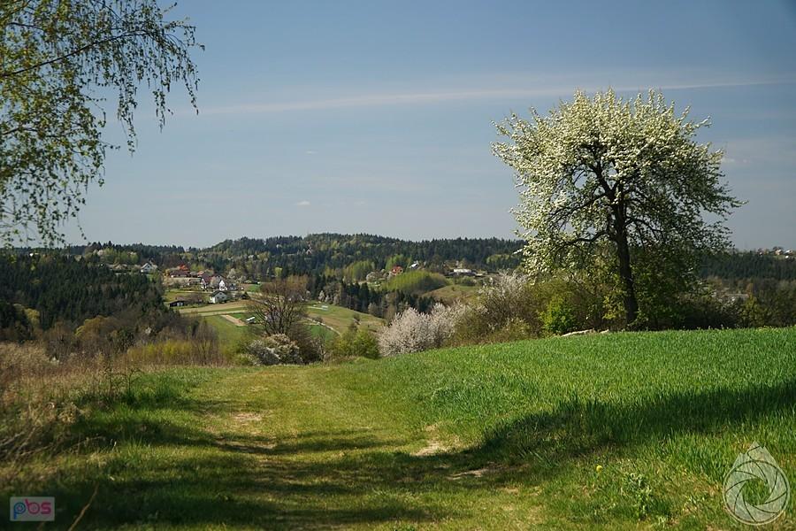 gdzieś tam zjeżdżając z Turzy