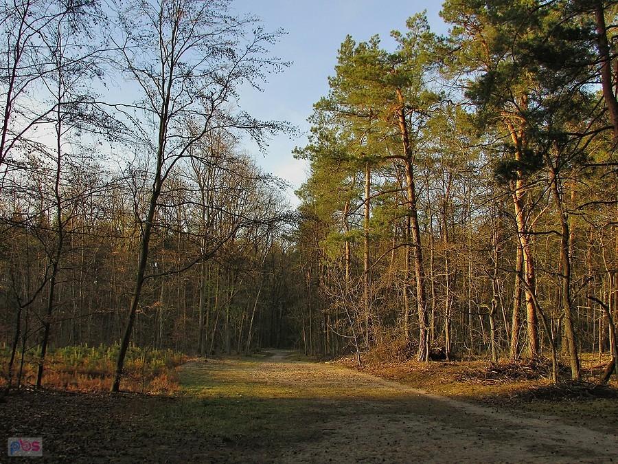 Moja ulubiona część Królewskiej Góry