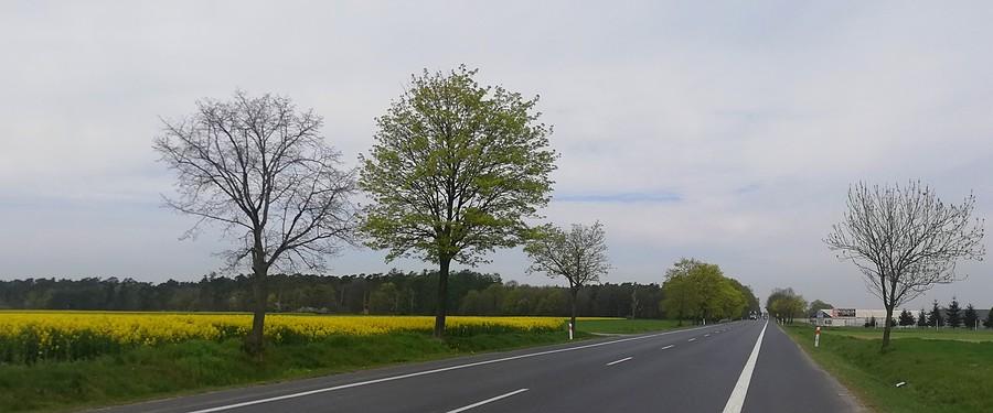 Prawie pusta krajowa piątka