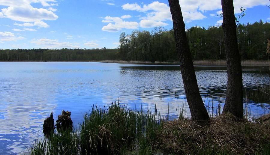 Lepsze miejscówki mi zajęto :( - Jezioro Strzeszyńskie, Poznań