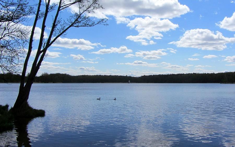 Rzut oka wstecz - Jezioro Strzeszyńskie, Poznań