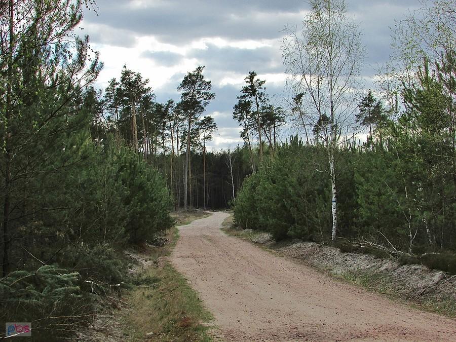 Na szlaku rowerowym Świerże - Zwoleń