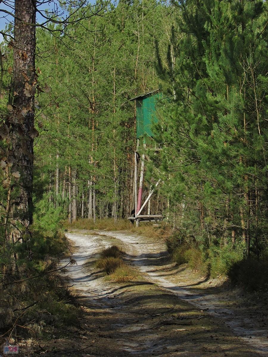 Ambona myśliwska przy szlaku