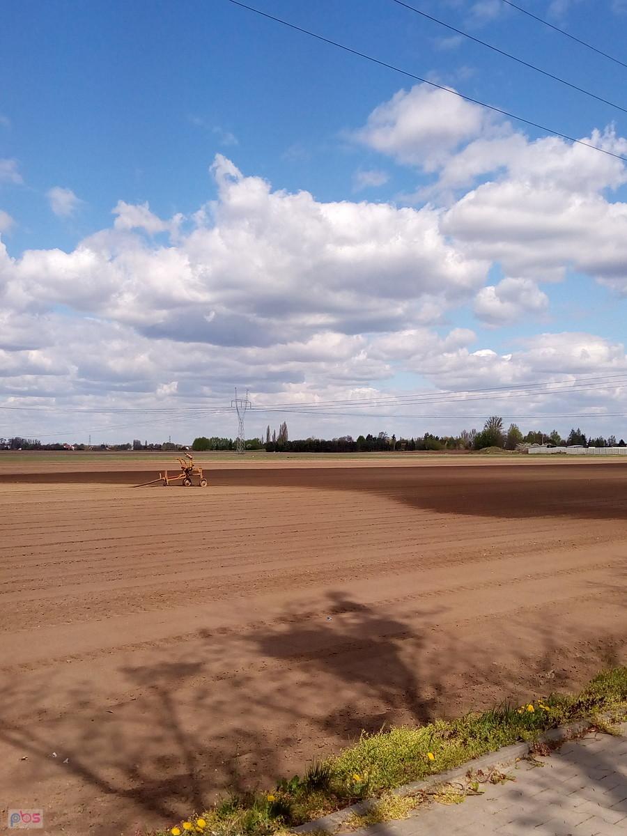 Rolnicy podlewają pola