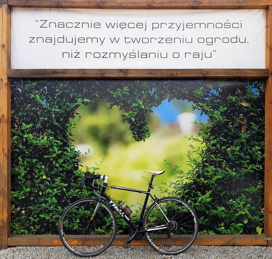 Przy firmie ogrodniczej, a w sumie to całkiem głębokie - Lusówko
