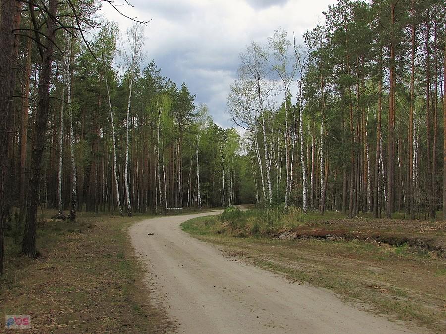 Szlakiem czartów mazowieckch