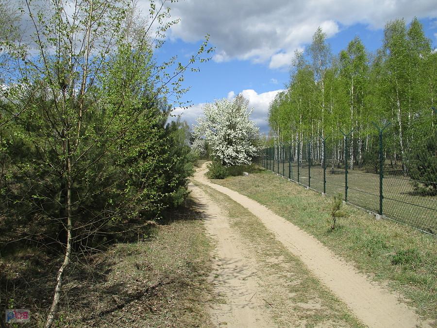 Na końskim szlaku