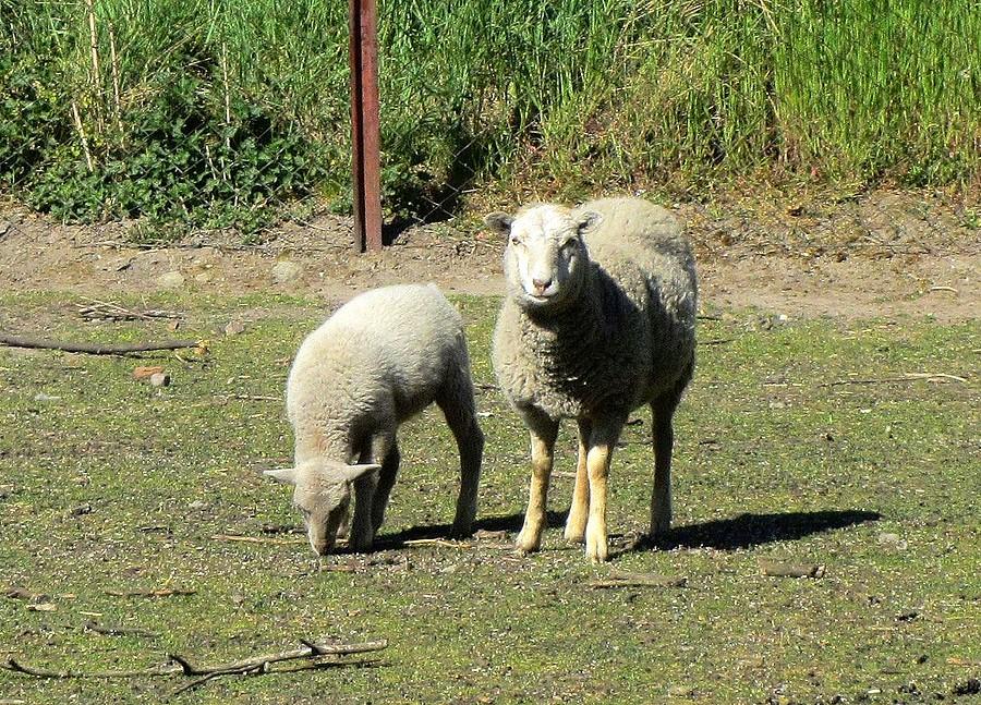 Co się lampisz, tej? ;) - Łęczyca, Wielkopolski Park Narodowy