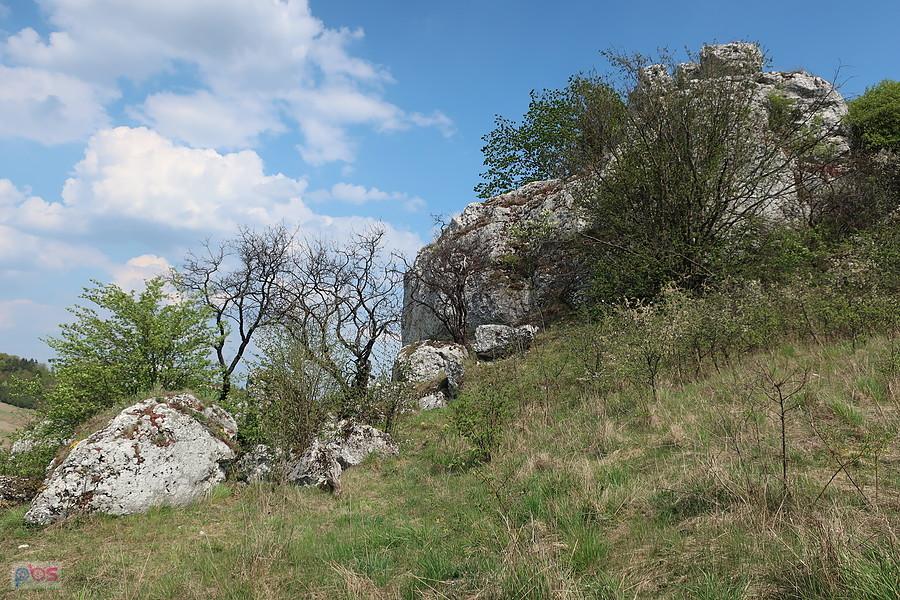 Wiosna na Rzędowej