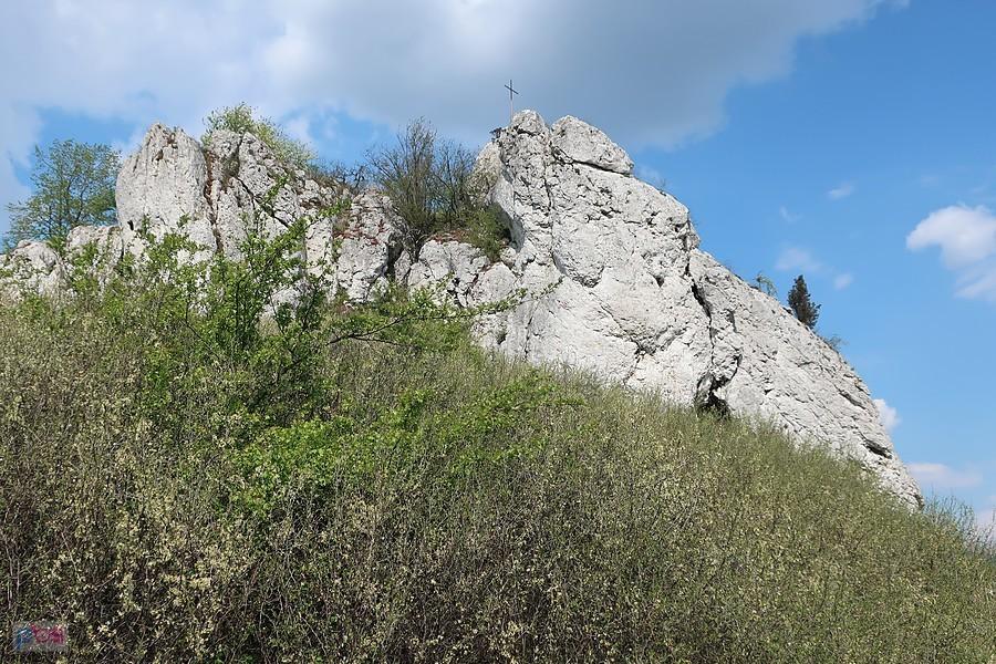 Skała Rzędowa