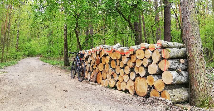 Typowo polski widoczek - Dziewicza Góra