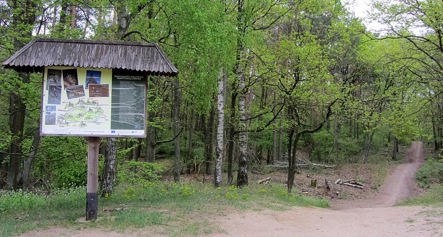 Punkt informacyjny - Dziewicza Góra