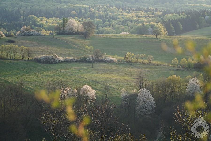 wiosna na stokach Kamienia nad Krempną
