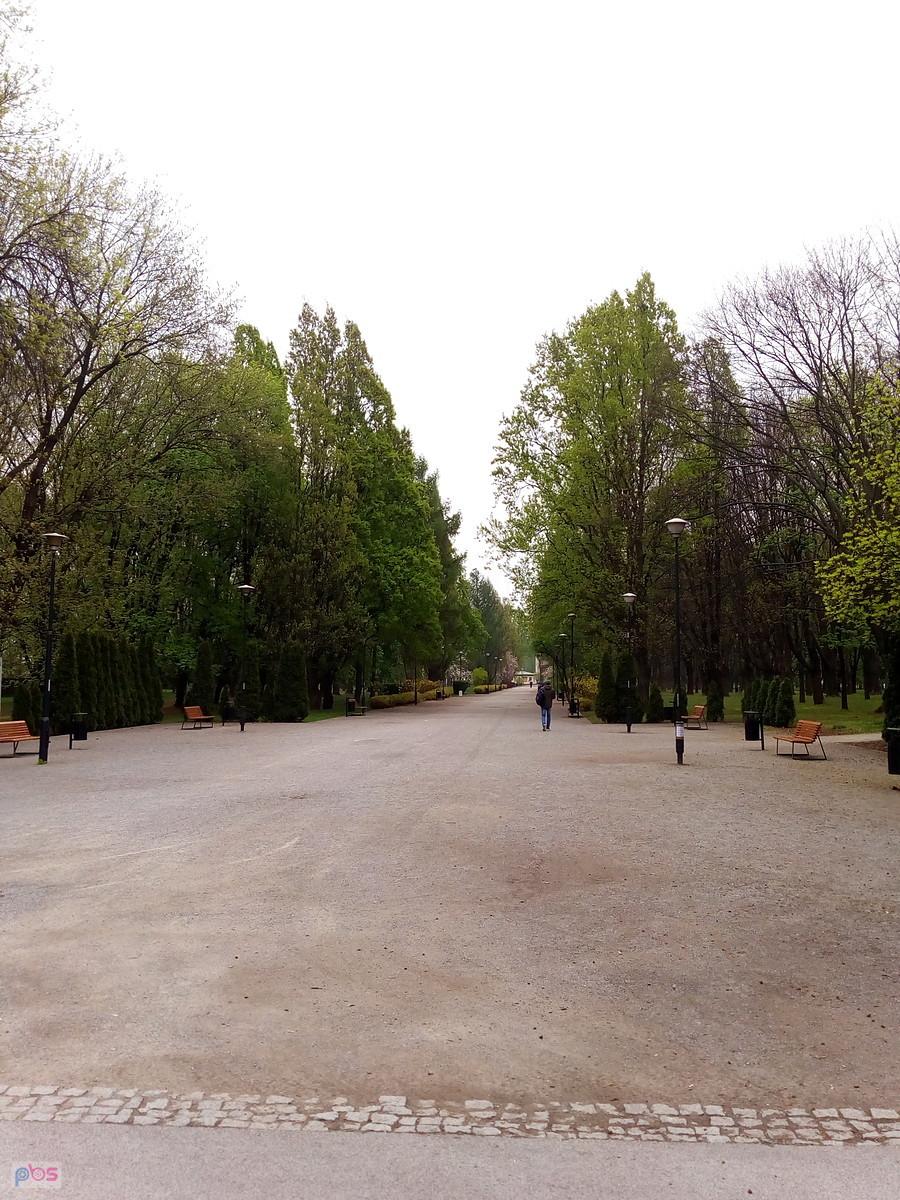 W parku na Woli