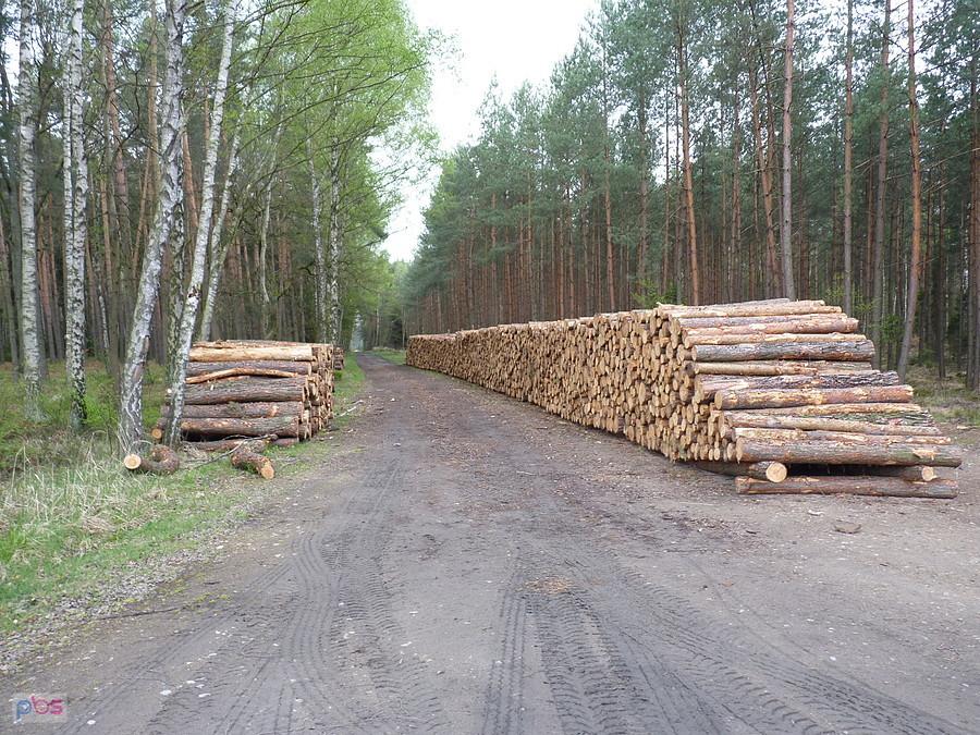 ten piękny zapach drewna