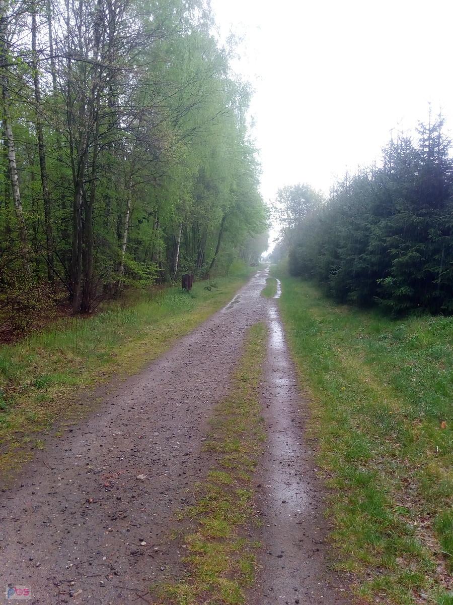 Wreszcie pada...