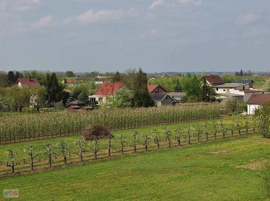 Wieś Glinki