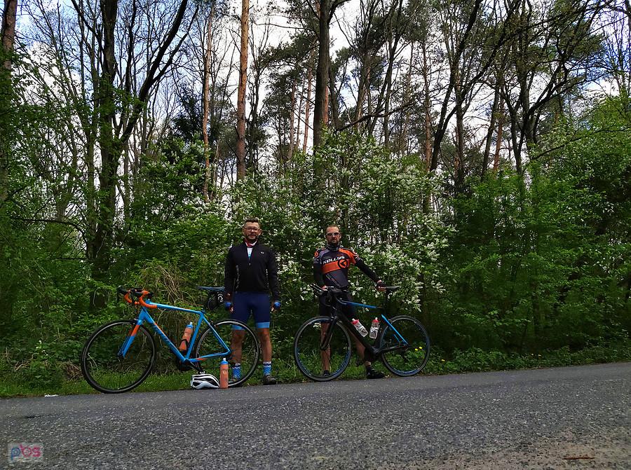Pauza przed Borkiem