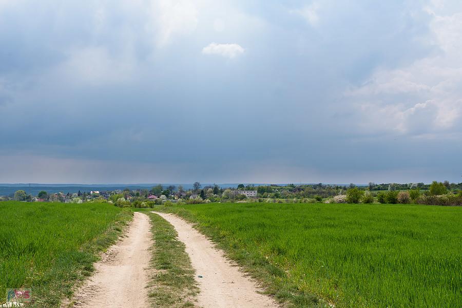 Widok w stronę zabudowań Wysokiej Lelowskiej