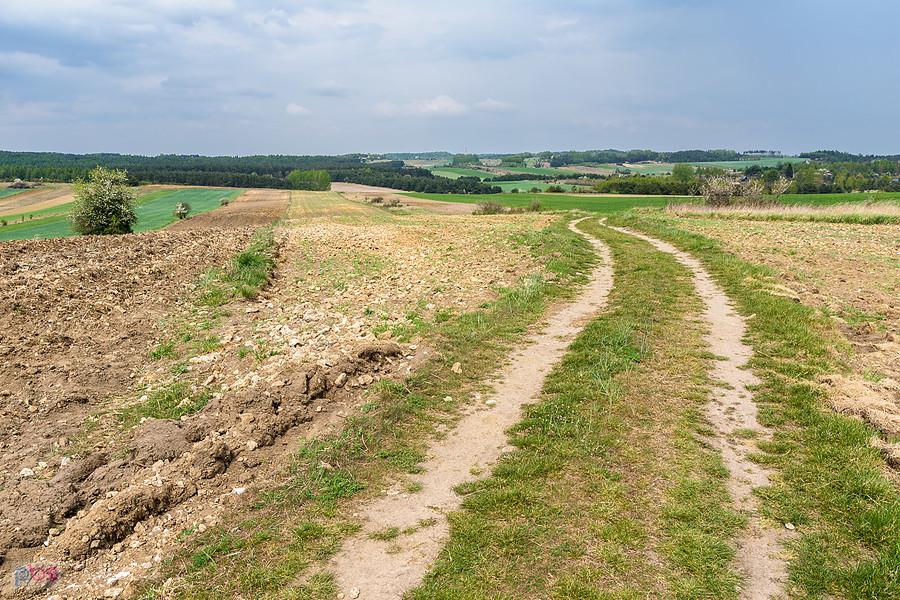 Jaroszów - droga od Wysokiej Lelowskiej, ujęcie w kierunku Suliszowic