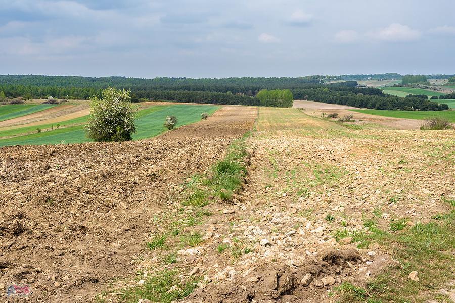 Jaroszów ujęcie z drogi biegnącej od Wysokiej Lelowskiej, kadr w kierunku Suliszowic