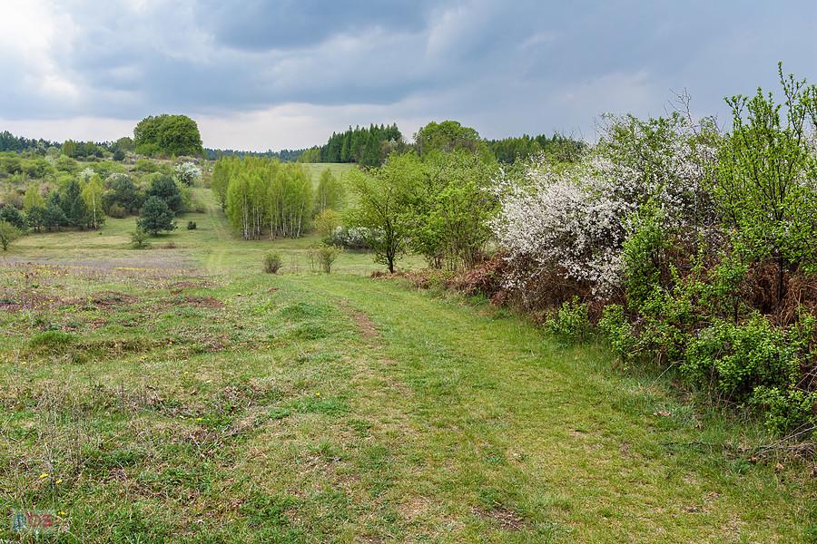 Kolonia Trzemieszów - Czatachowa