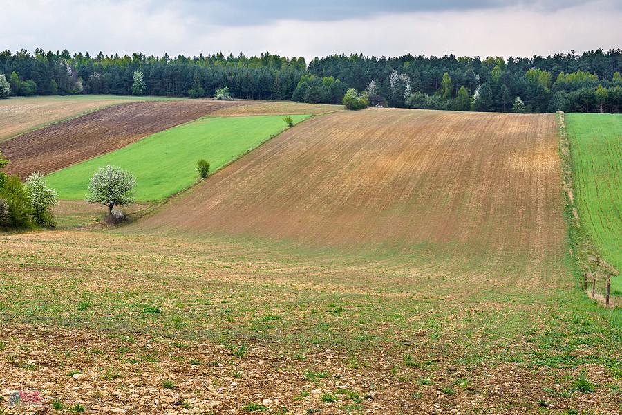 Kolonia Trzemieszów - Czatachowa