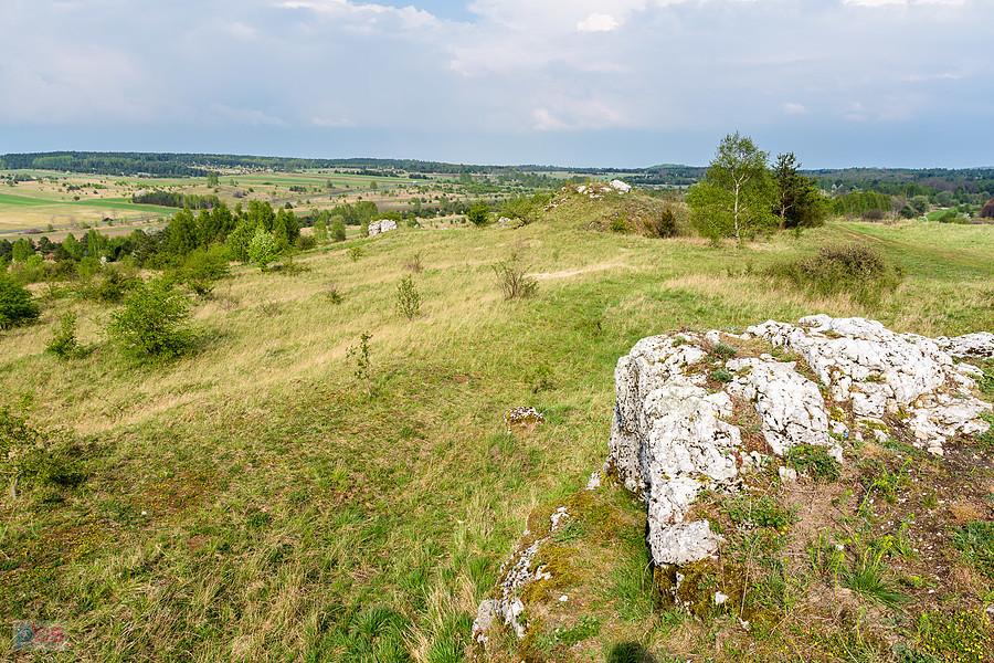 Ujęcie ze wzniesienia Parchowotka w Żarkach, kadr w stronę Niegowej