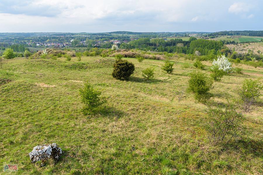 Ujęcie ze wzniesienia Parchowotka w Żarkach, kadr w stronę Przybynowa