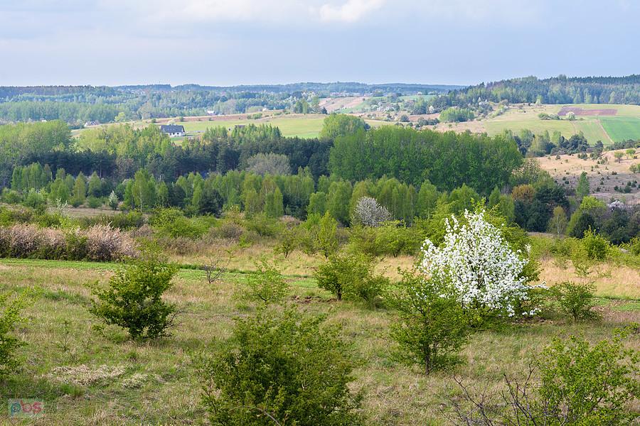 Ujęcie ze wzniesienia Parchowotka w Żarkach, kadr w stronę Przewodziszowic