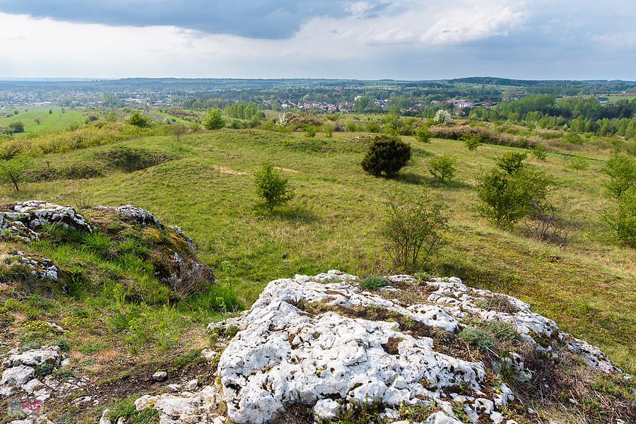 Ujęcie ze wzniesienia Parchowotka w Żarkach, kadr w stronę Żarek