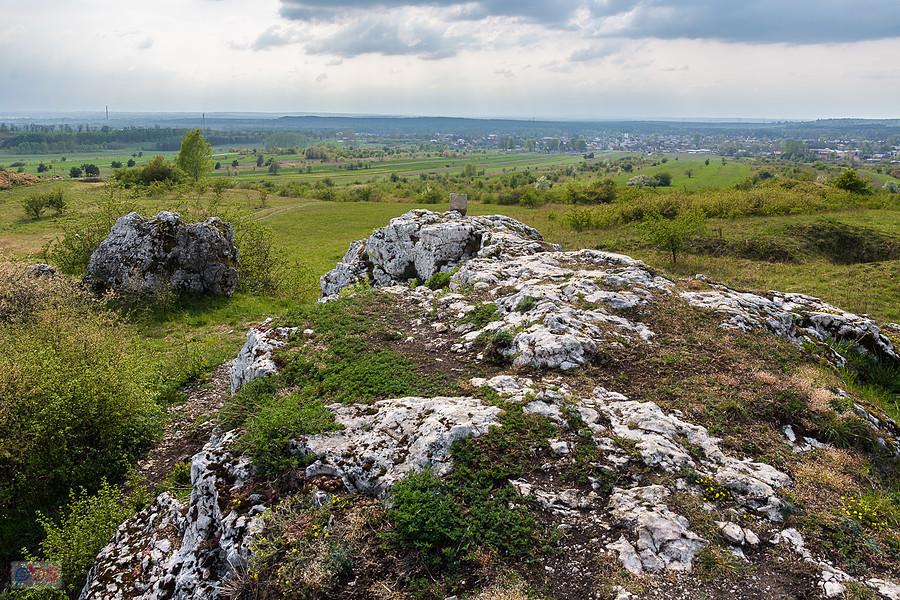 Ujęcie ze wzniesienia Parchowotka w Żarkach, kadr w stronę Żarek
