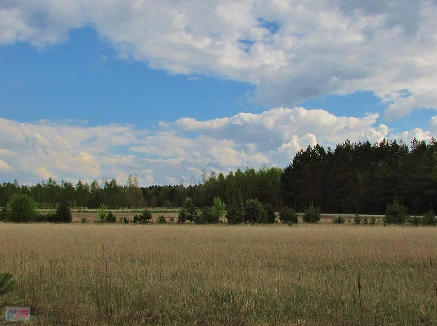 Błękitne niebo