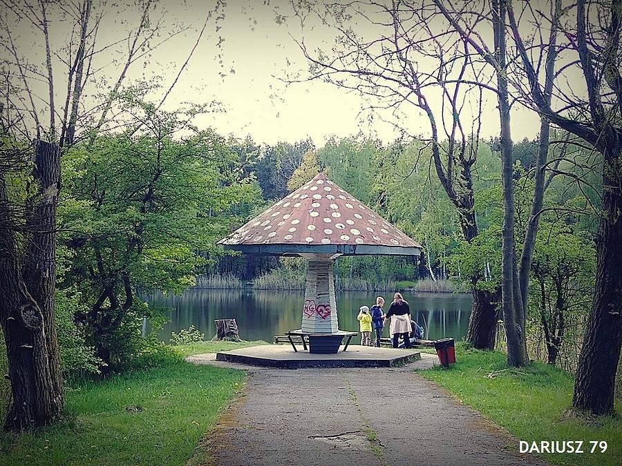 Sosnowiec - Kazimierz Górniczy - Park Miejski Imienia Jacka Kuronia