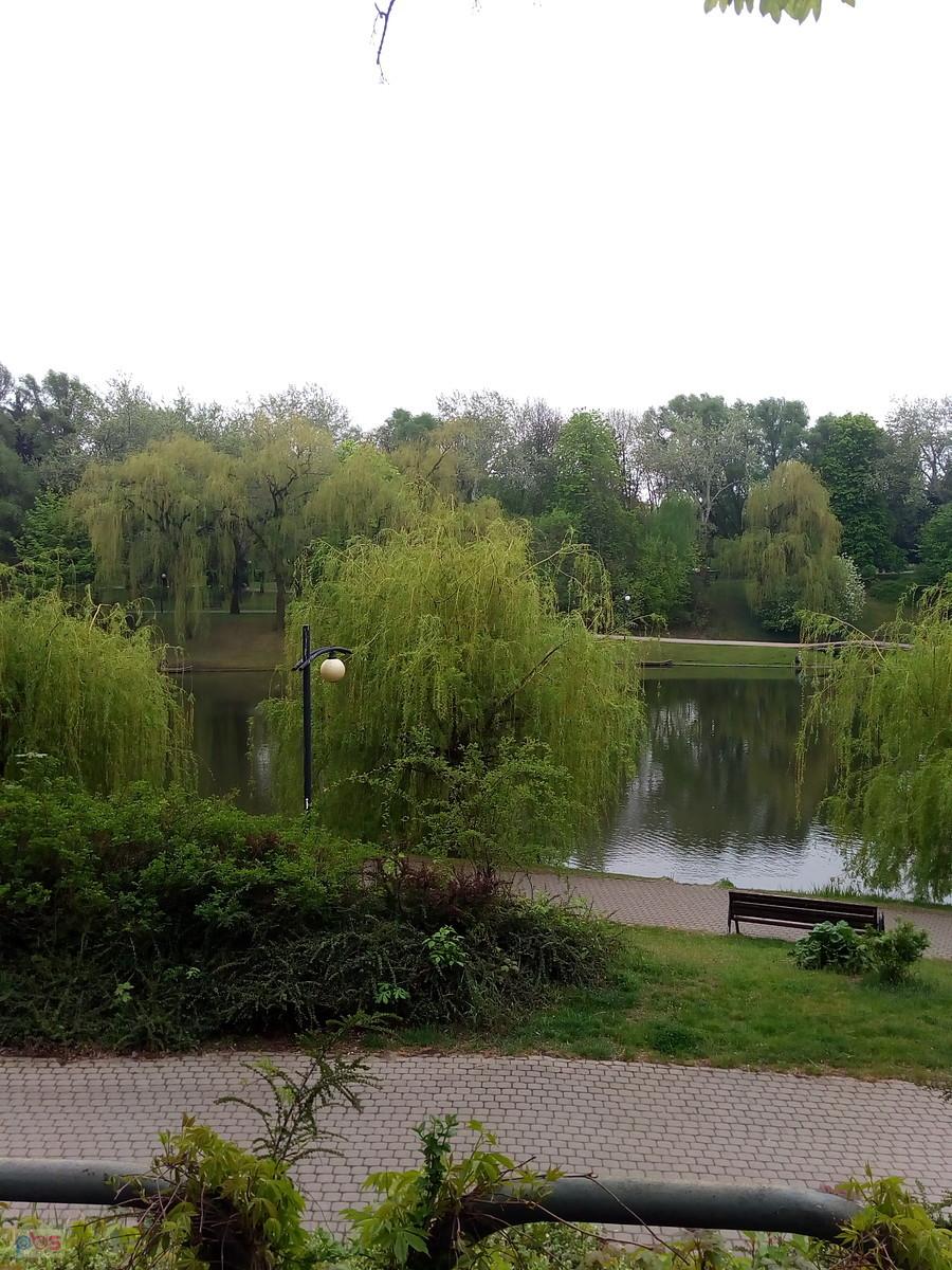 Na Moczydle