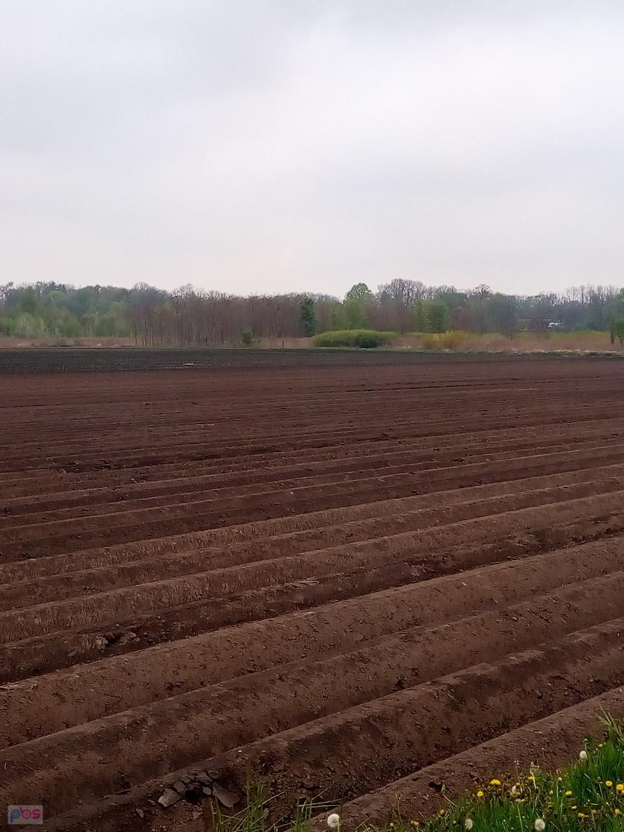 Pola dostały wody