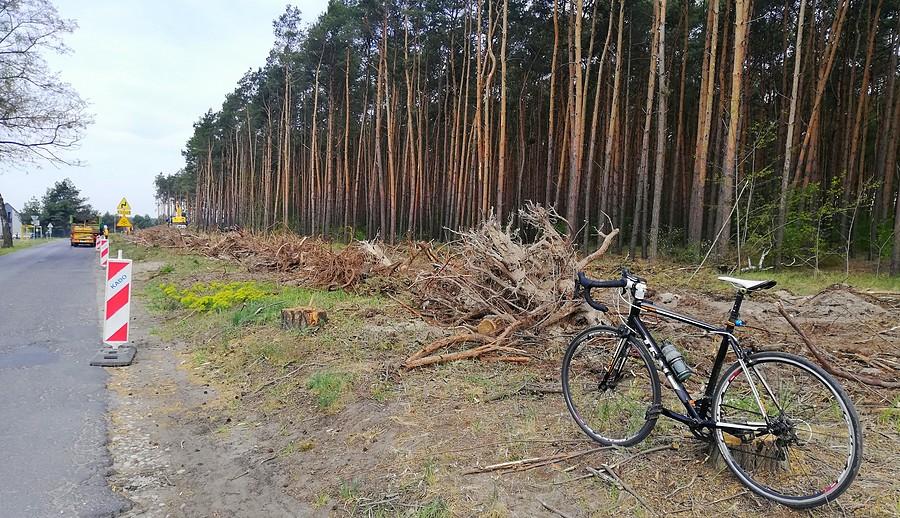 Za lasem trzeba było skręcić w prawo. Hmmm, jakim lasem? :/ - Drużyna Poznańska