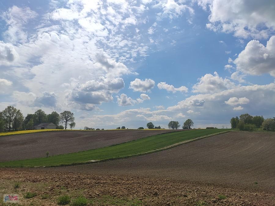 Pola i obłoki, takie dzisiaj miałam widoki